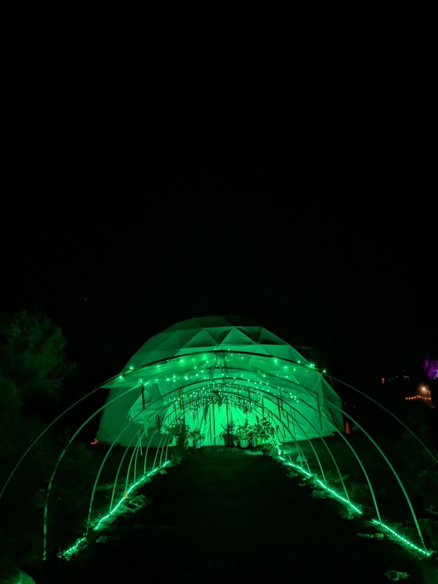 Green-lit arches form a tunnel across the pasture at night, lined with potted plants and leading to the Lumiadome glowing green behind them